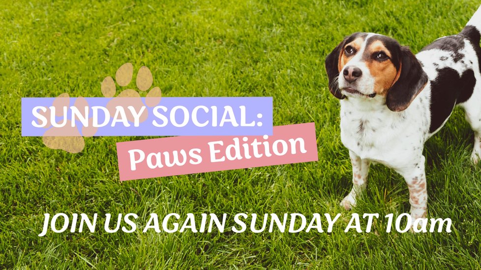 Our 4th Sunday Social: Paws Edition