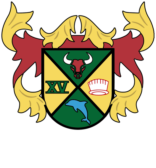Introducing the New Beccles RUFC Logo
