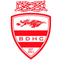 BDHC - The Dragons...