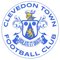 CLEVEDON TOWN AFC