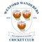 Wexford Wanderers Cricket Club