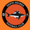 Sinfin Sharks FC