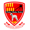 Bedlington Terriers CIC FC