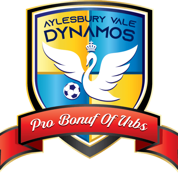 Aylesbury Vale Dynamos