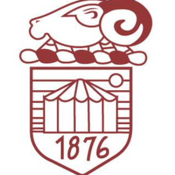 Stenhousemuir Cricket Club