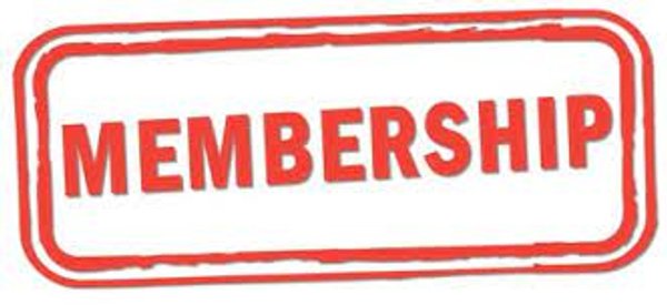 2026 Player Subscription
