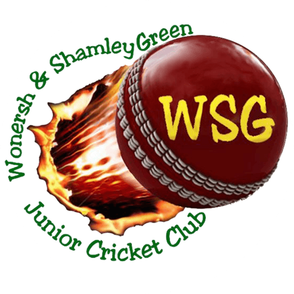 2024 WSG Membership