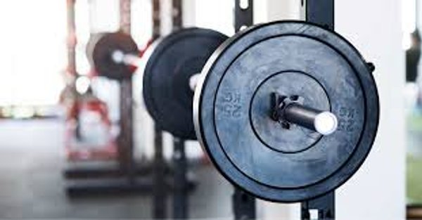 Ophir Women S&C - January 2025