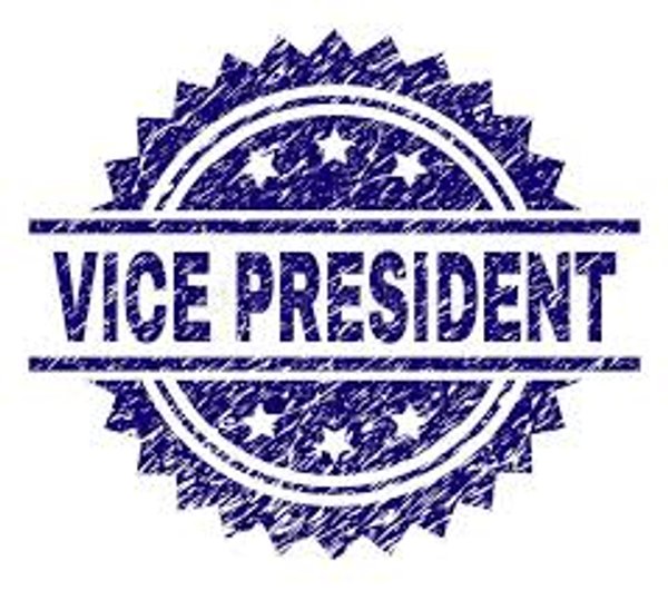 Vice President Membership 26/27