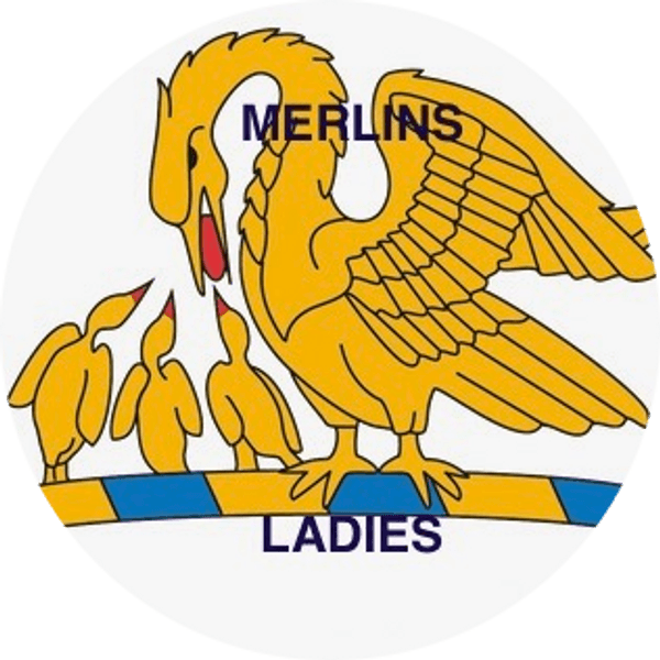 2025 - 2026 Ladies Membership