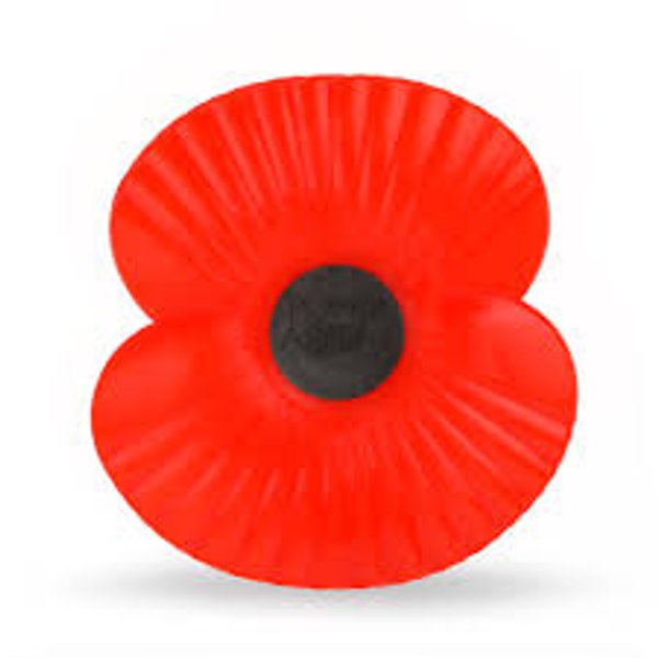 Shirt Poppies 2025/26