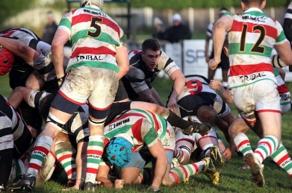 Scarlets Player - 2025