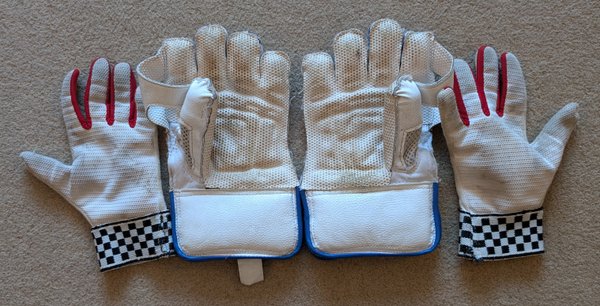 Gunn & Moore Siren Keeping Gloves & Inners - Junior