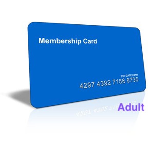 Adult Playing Contribution