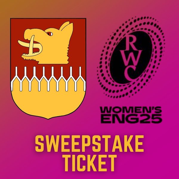 Women's World Cup Sweepstake