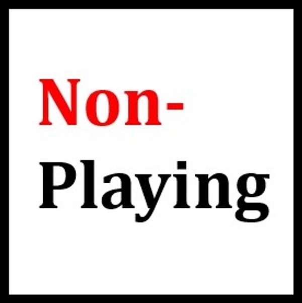 Social Non Playing Club Member (inc. voting rights and access to international ticket apps) - 2026/27
