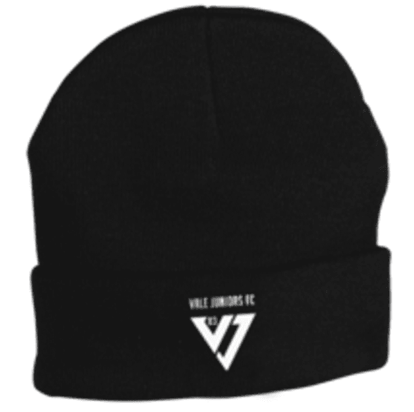 Buy Your Team Hats !