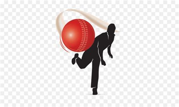 Junior Cricket Winter Training