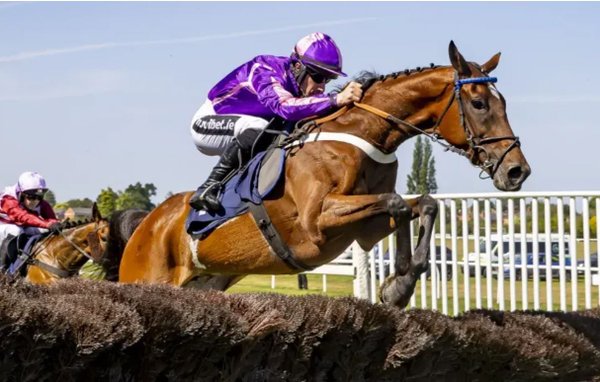 Race Night  - Name your Horse