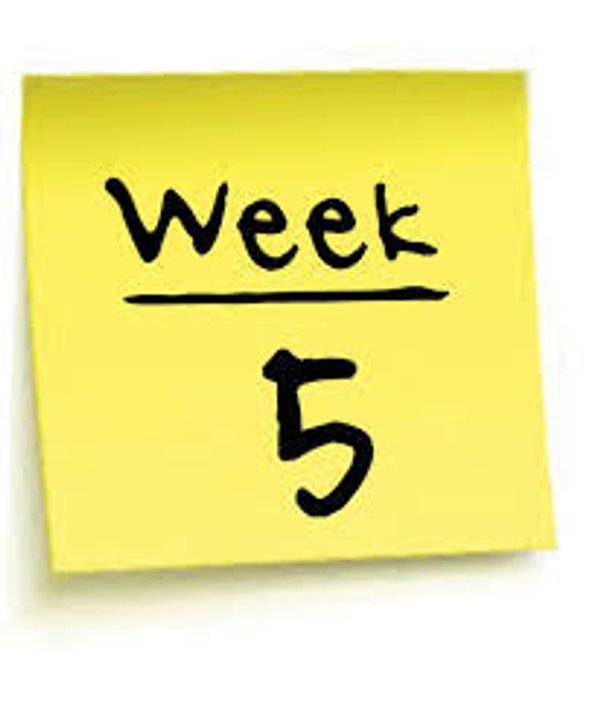 Summer Cricket Camp Week 5 (24th to 26th August)