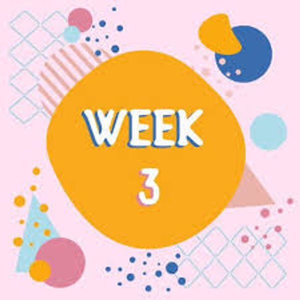 Summer Cricket Camp Week 3 (10th to 12th August)