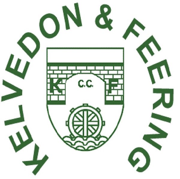 2024 Season Youth Dynostars Softball Membership