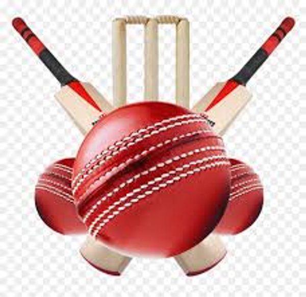 U11's Indoor Winter Cricket 2026 (Years 5 & 6)