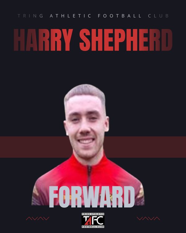 Player sponsorship - Harry Shepherd