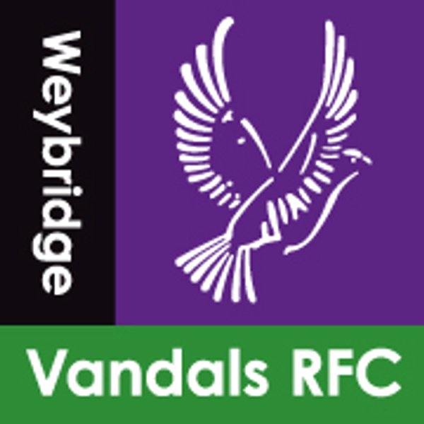 Junior Section Ties - Weybridge Vandals RFC