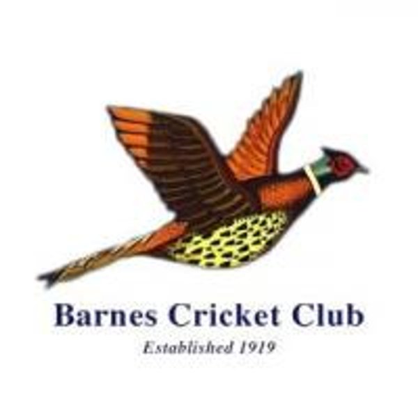 2026 SOFT-BALL JUNIOR FULL SEASON (Years 1-4, Winter & Summer)