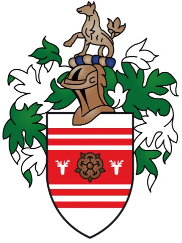 MINIS (2x Adult, 2+ Child) 2024/25 v1024