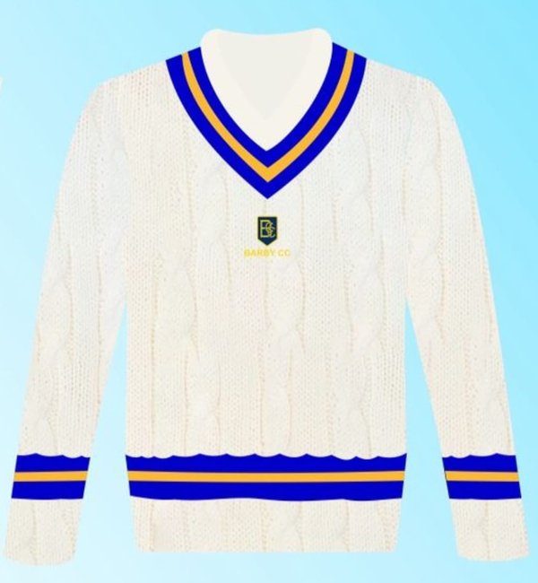 BCC Sleeved Cricket Jumper