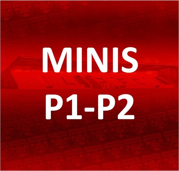 MINIS - P1-P2 Membership