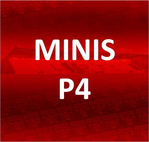 MINIS - P4 Membership
