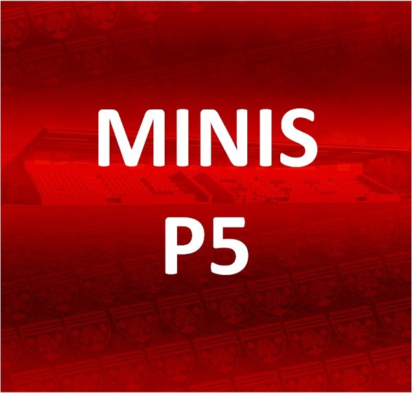 MINIS - P5 Membership