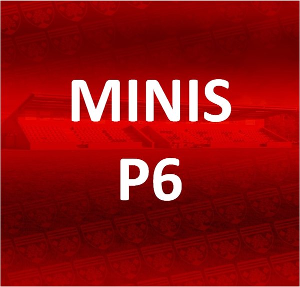 MINIS - P6 Membership
