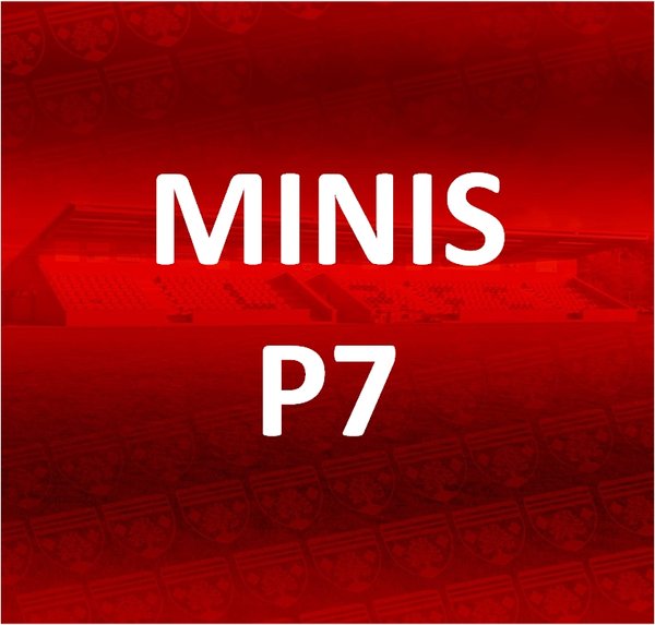 MINIS - P7 Membership