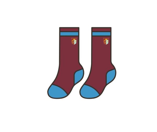 Chiswick Rugby Training Socks (Youth)