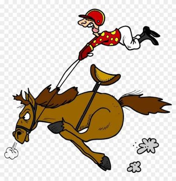 Race Night 2026  Jockey