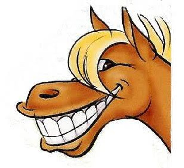 Race Night 2026 Horse Ownership