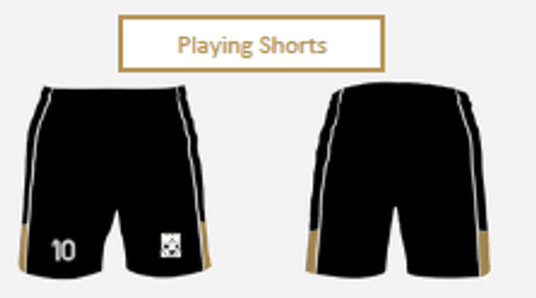 Shorts (with zipped pockets)