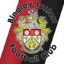 Bingley Juniors AFC