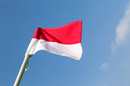 Open Age and Masters Player Recruitment