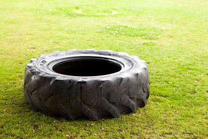 SVHC 3's vs New Beccehamiam M3