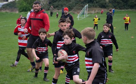 Spotlight on Oli Hawkins