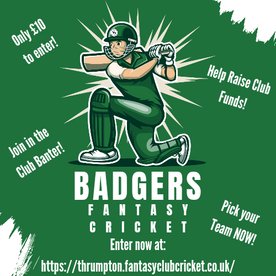 Badgers Fantasy Cricket Is Back!