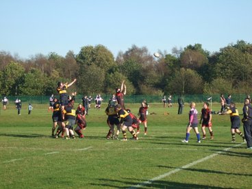 The search continues...