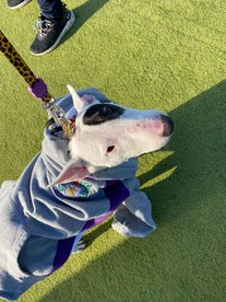 Sale 2s vs Didsbury Greys 2s