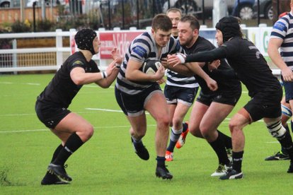 LIONS LOSE TO WOLVES