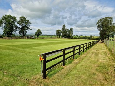 Thank You to Our Volunteers!